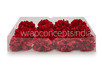 Red Carnation Red Carnation
