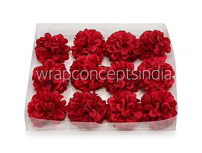 Red Carnation Red Carnation