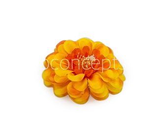 Dahlia Flower - Sunshine Yellow with hints of Orange Dahlia Flower - Sunshine Yellow with hints of Orange