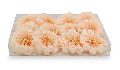 Dahlia Flower- Peach Dahlia Flower- Peach