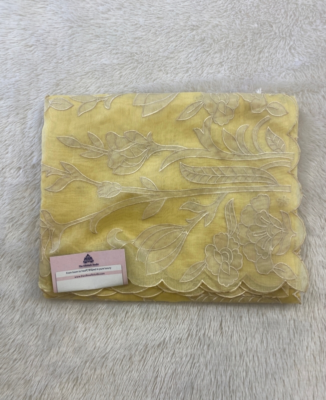 Meena – The Organza Saree with Applique Work SWS163