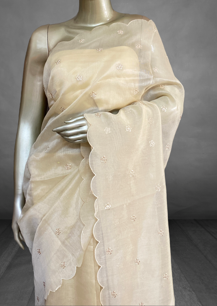 Meena – The Organza Saree with Applique Work SWS163