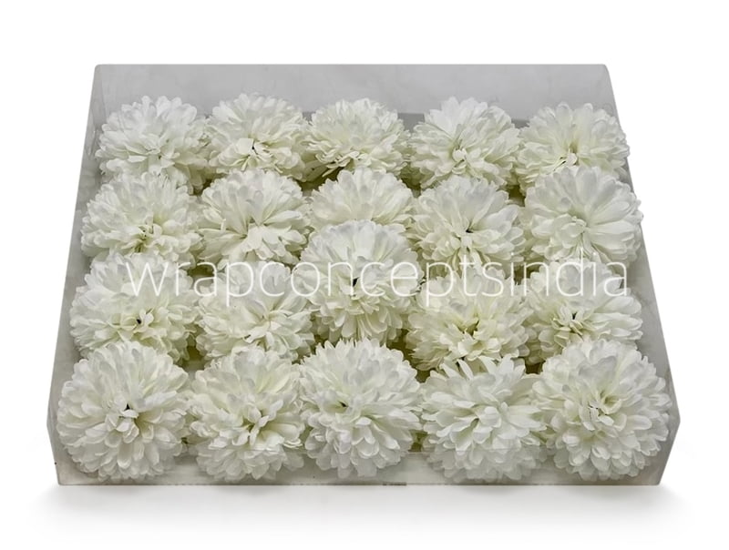 Carnation - White