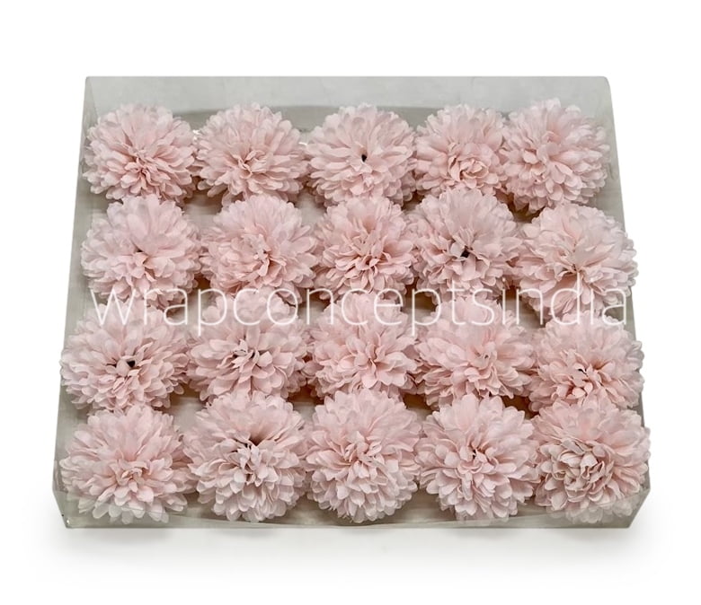 Carnation - Baby Pink Carnation - Baby Pink