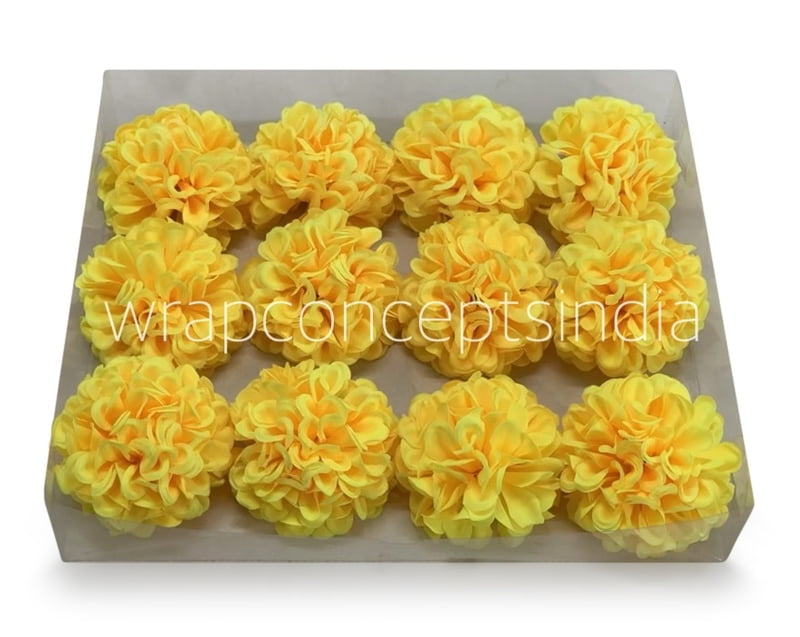 Sunshine Carnation Sunshine Carnation