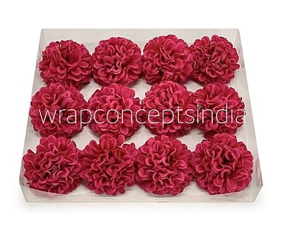 Fuchsia Carnation Fuchsia Carnation