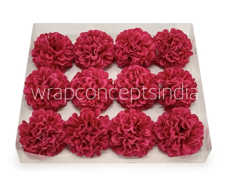 Fuchsia Carnation Fuchsia Carnation