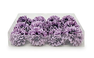 Wisteria Carnation Wisteria Carnation