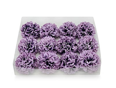 Wisteria Carnation Wisteria Carnation
