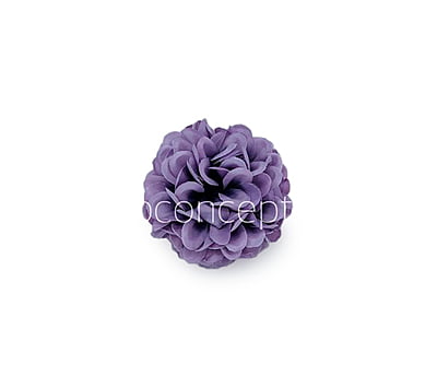 Wisteria Carnation Wisteria Carnation