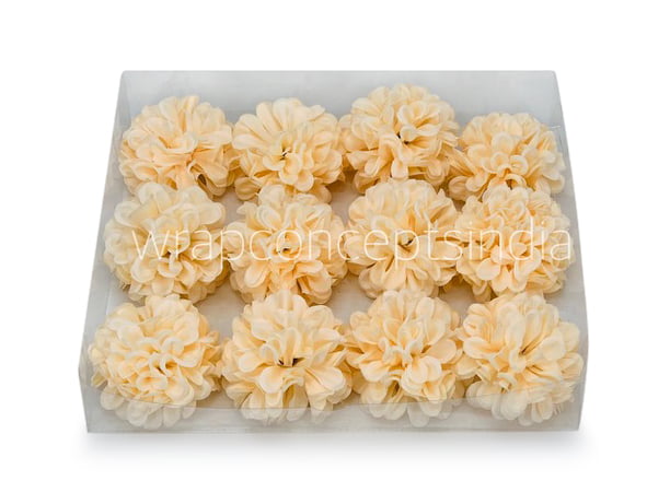 Cream Carnation Cream Carnation