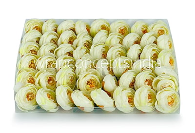 Small Ivory Peonies