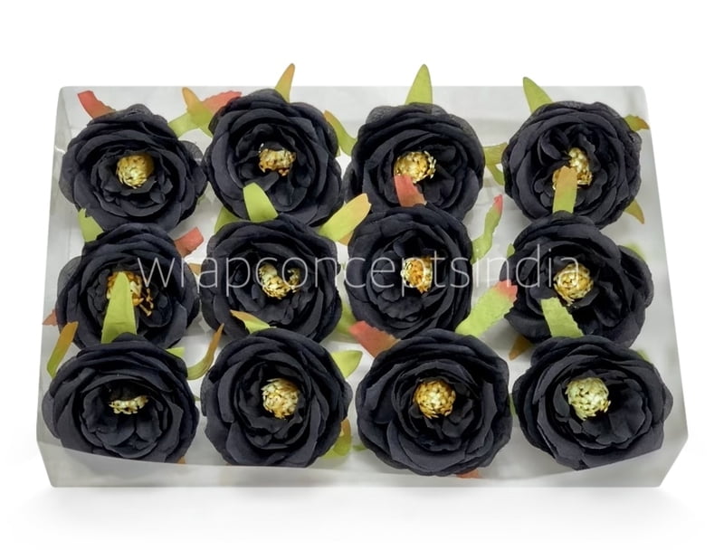 Black Camellia Flower Black Camellia Flower