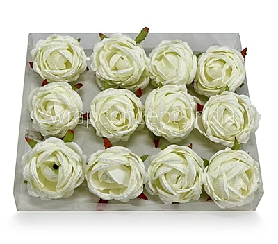 Apple Blossom Peony Apple Blossom Peony