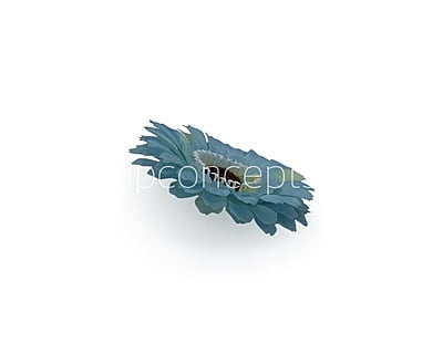 Cyan Gerberas