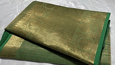 Golden Tissue Saree - Green