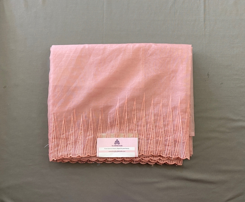 Clara - The Organza Saree in Thread Border SWS191