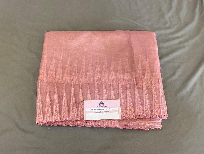 Clara - The Organza Saree in Thread Border SWS191