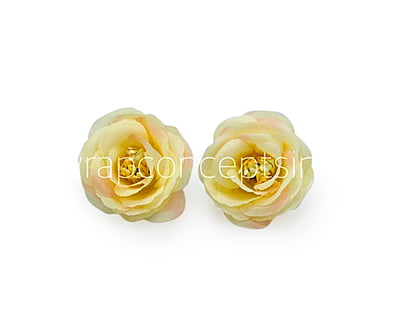 Lemon Yellow with hints of Pink Rose Flower Lemon Yellow with hints of Pink Rose Flower