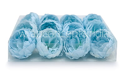 Powder Blue Peony Powder Blue Peony