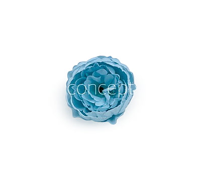 Powder Blue Peony Powder Blue Peony