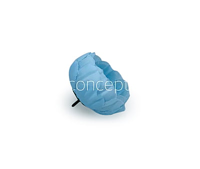 Powder Blue Peony Powder Blue Peony