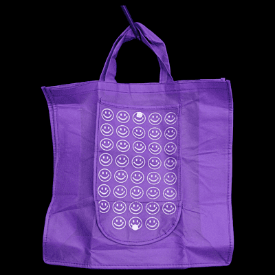 Purse Type Carry Bag Medium