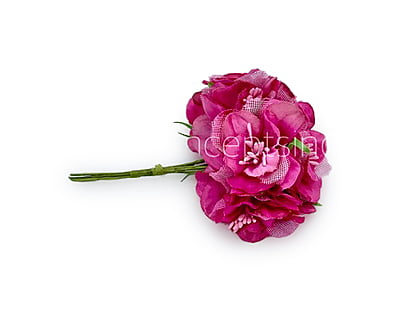 Fuchsia Pink Flower On Stick with Pollen Fuchsia Pink Flower On Stick with Pollen