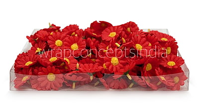Red Daisy Flowers Red Daisy Flowers