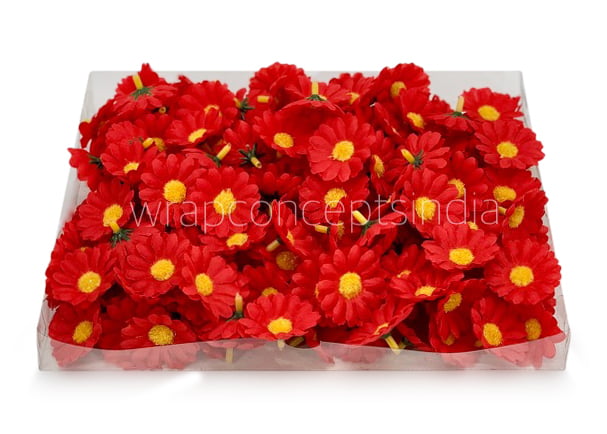 Red Daisy Flowers Red Daisy Flowers
