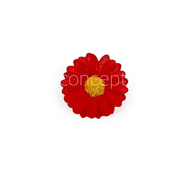 Red Daisy Flowers Red Daisy Flowers