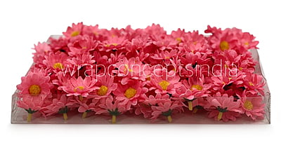Bubble Gum Pink Daisy Flowers Bubble Gum Pink Daisy Flowers