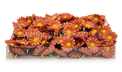 Cherry Wood Daisy Flowers Cherry Wood Daisy Flowers