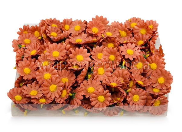 Cherry Wood Daisy Flowers Cherry Wood Daisy Flowers