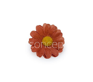 Cherry Wood Daisy Flowers Cherry Wood Daisy Flowers