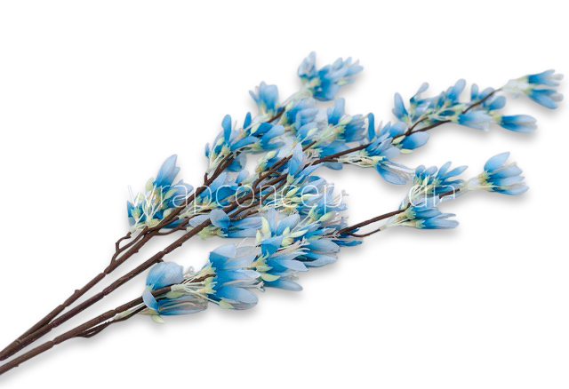 Blue Wisteria Sticks Blue Wisteria Sticks