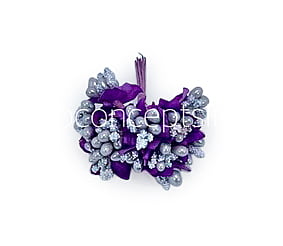 Silver & Purple Pollens Silver & Purple Pollens