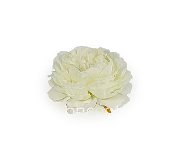 Ornate Peony-Ivory