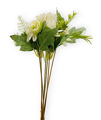 Dahlia Flower Bunch Dahlia Flower Bunch