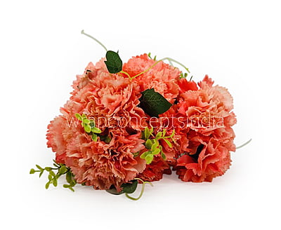 Carnation Bunch Tall Carnation Bunch Tall