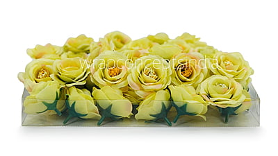 Lime Rose Flower Lime Rose Flower