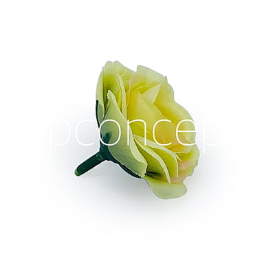 Lime Rose Flower Lime Rose Flower