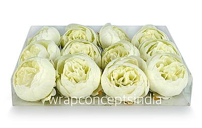 Peony - Ivory Peony - Ivory