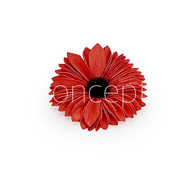 Red Sola Wood Gerberas Red Sola Wood Gerberas