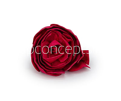 Deep Red Sola Wood Dear Holly Deep Red Sola Wood Dear Holly
