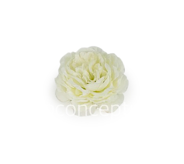 Ornate Peony-Ivory