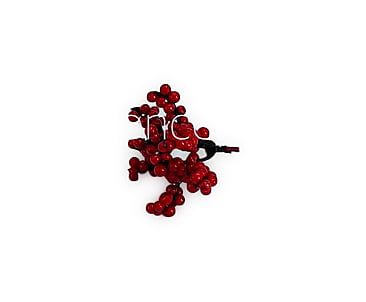 Red Fern Red Fern