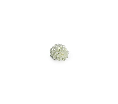Small Carnation - Ivory Small Carnation - Ivory