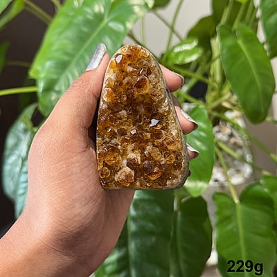 Citrine Geodes Citrine Geodes