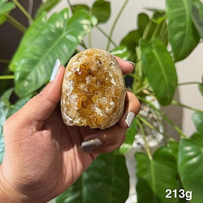 Citrine Geodes Citrine Geodes